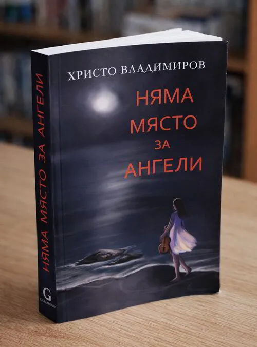 Няма място за ангели – корица на книгата