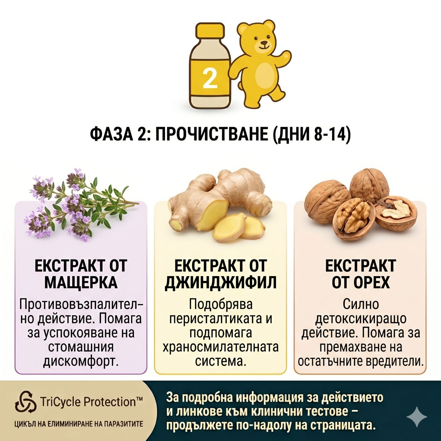 ЧистиЧе