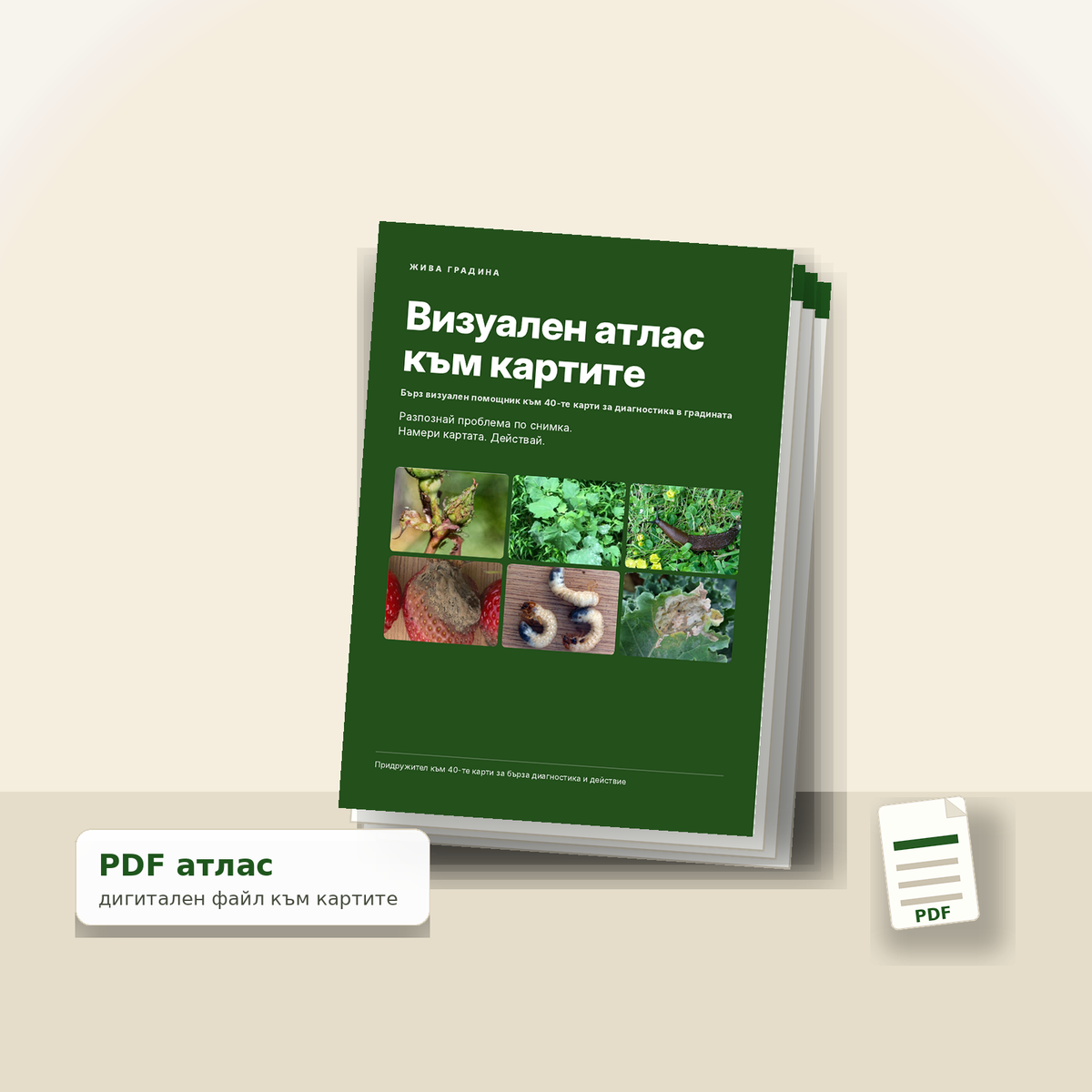 PDF Визуален атлас към картите